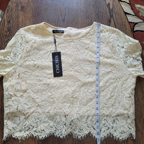 Chiciris Beige Short Sleeve Sexy Sheer Mesh Lace Crop Top Blouse Size Women 2X - Picture 10 of 11